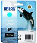 Картридж Epson T7602 (C13T76024010)