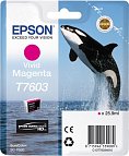 Картридж Epson T7603 (C13T76034010)